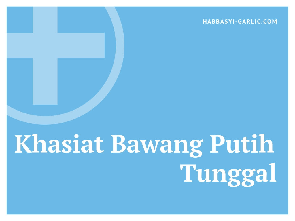 Khasiat Bawang Putih Tunggal